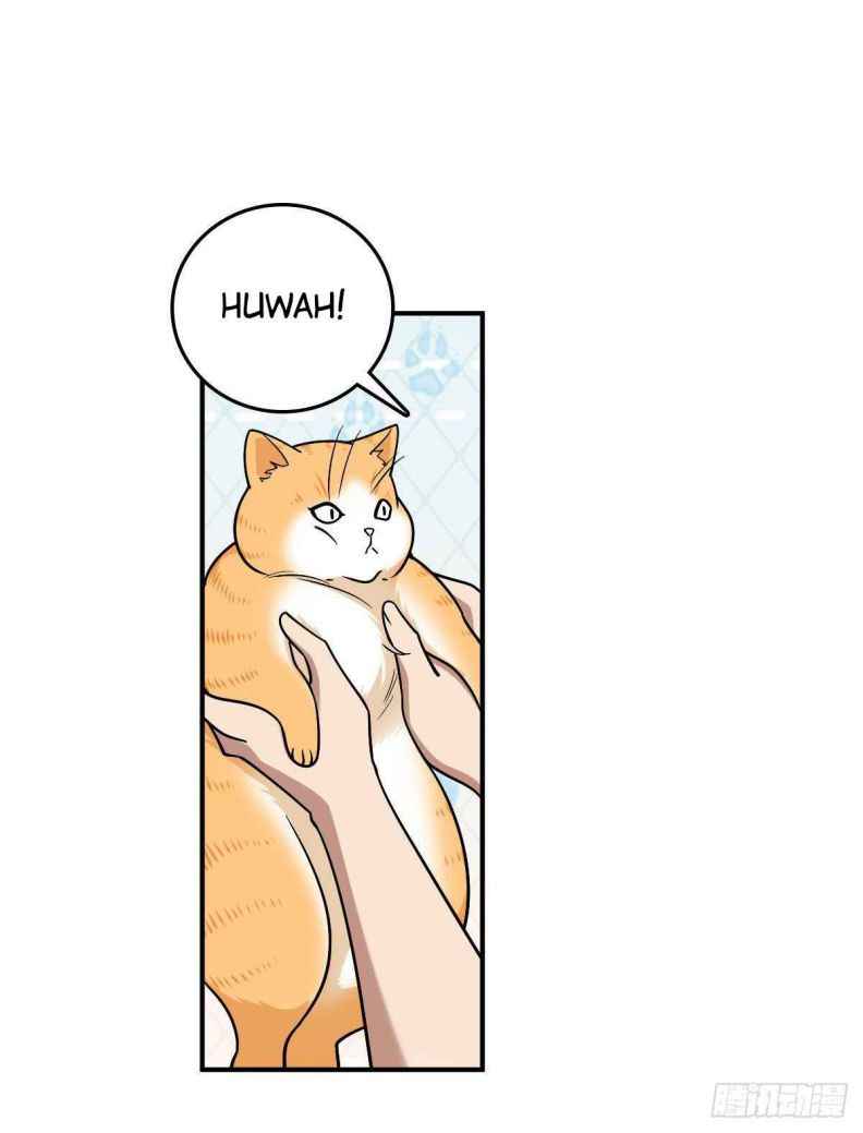 Page 16 of Chapter 12