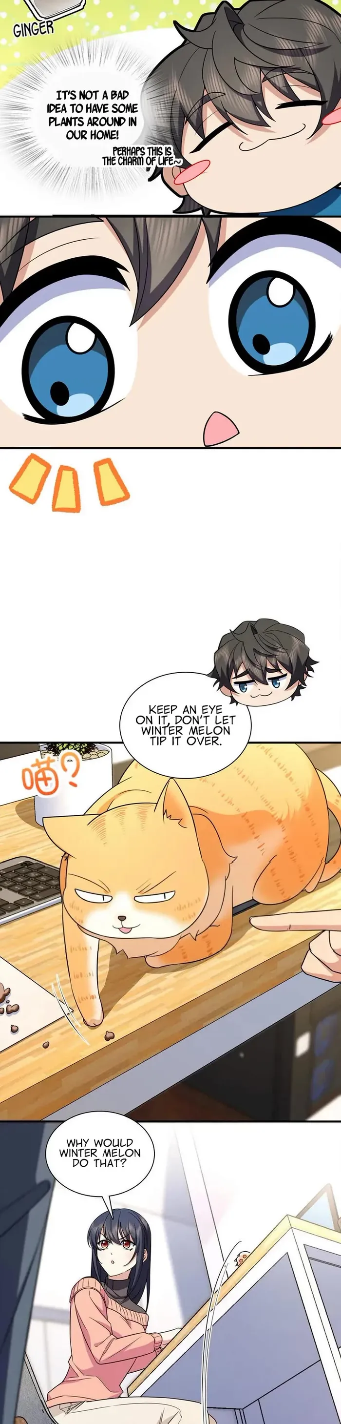 Page 29 of Chapter 252