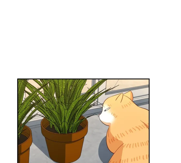 Page 74 of Chapter 333