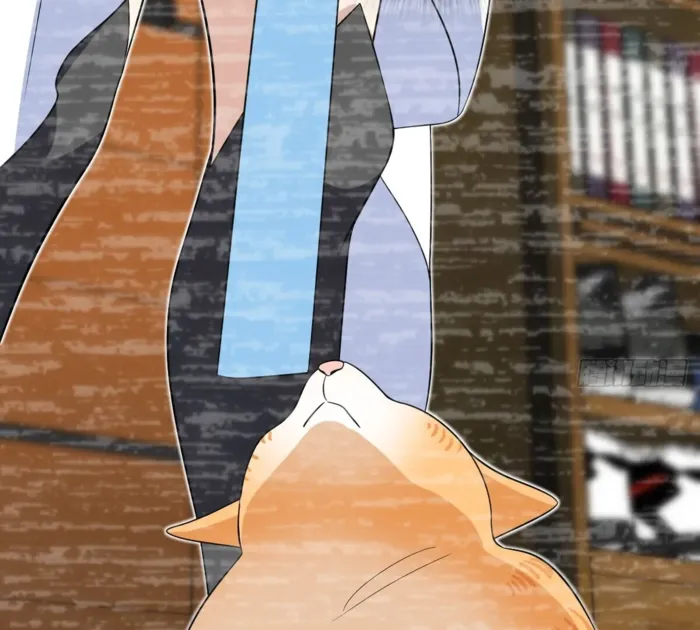 Page 20 of Chapter 337