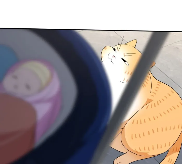 Page 41 of Chapter 342