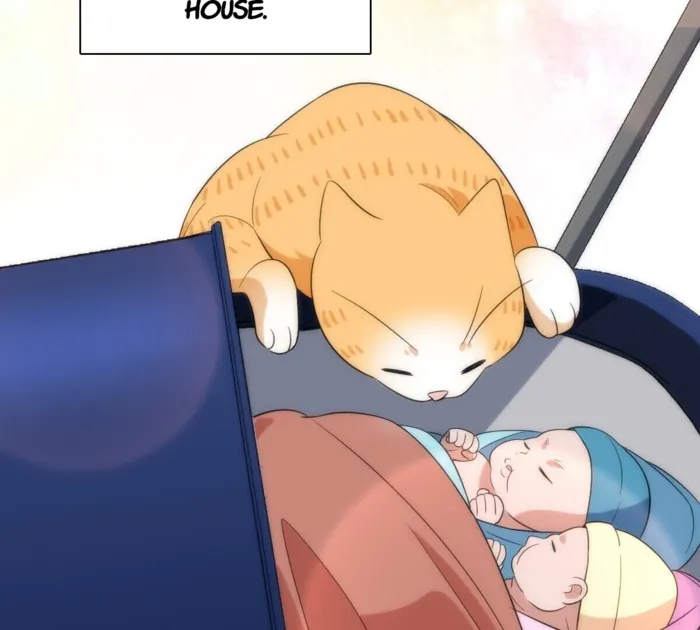 Page 47 of Chapter 342