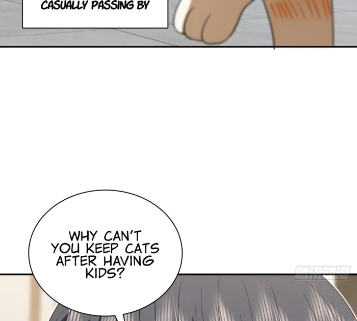 Page 67 of Chapter 343