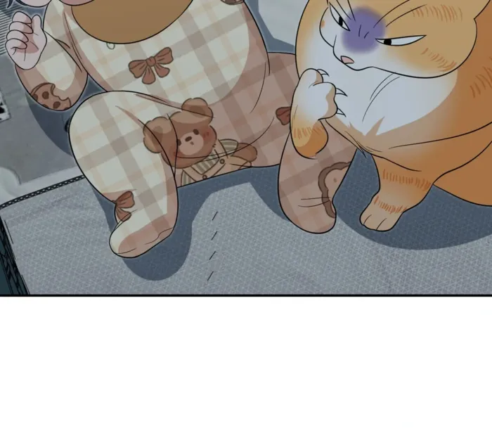 Page 71 of Chapter 343
