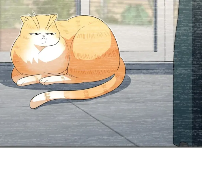 Page 84 of Chapter 343