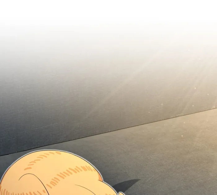Page 2 of Chapter 355