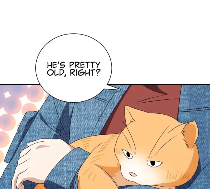 Page 52 of Chapter 356