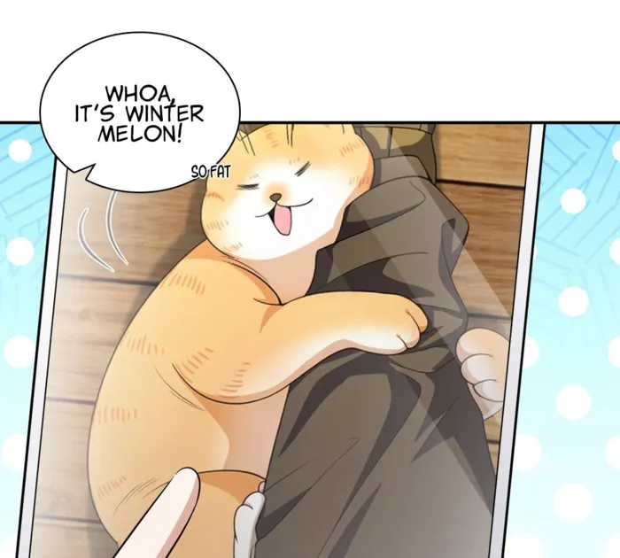 Page 14 of Chapter 368