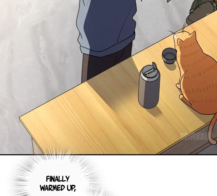Page 38 of Chapter 384