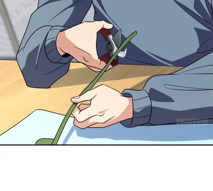 Page 45 of Chapter 384
