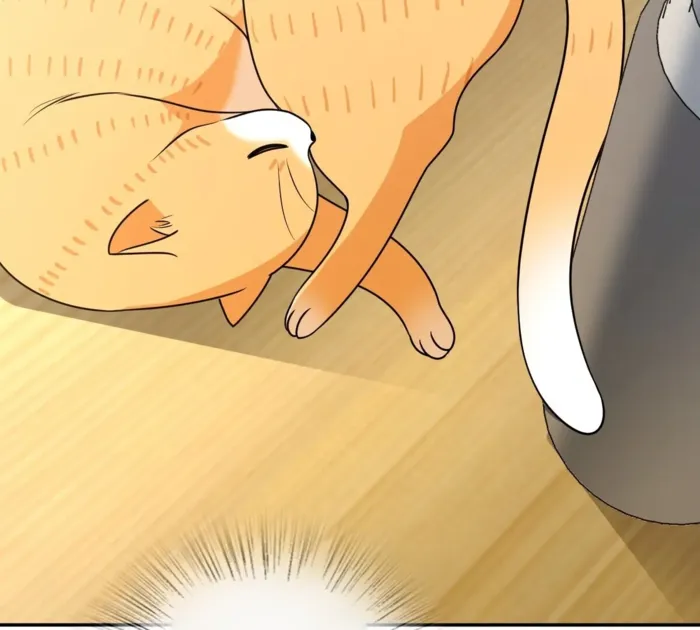 Page 68 of Chapter 384