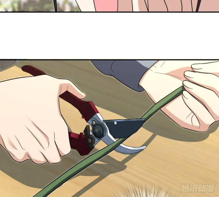 Page 15 of Chapter 385