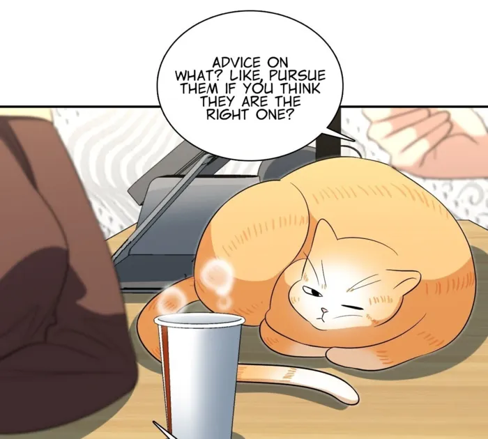 Page 26 of Chapter 385