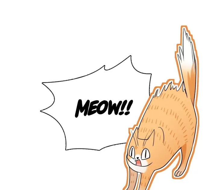 Page 106 of Chapter 386