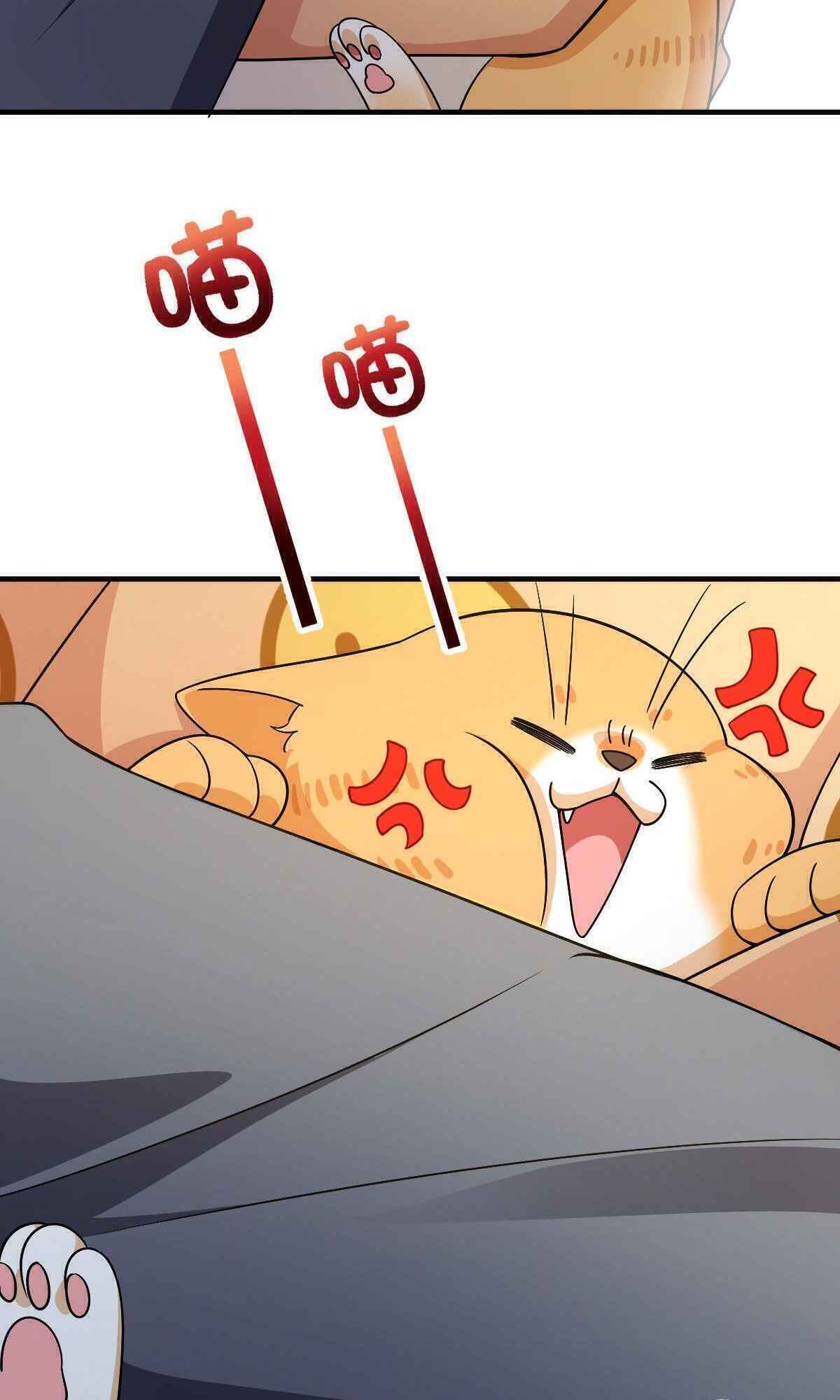 Page 32 of Chapter 71