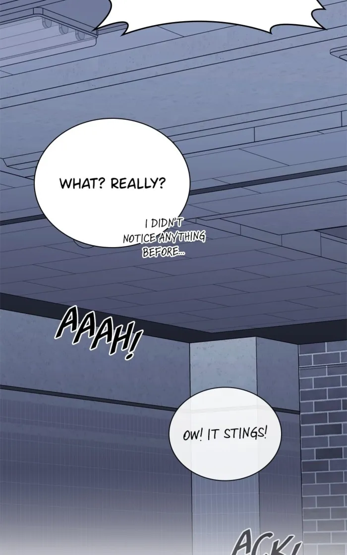 Page 66 of Chapter 169
