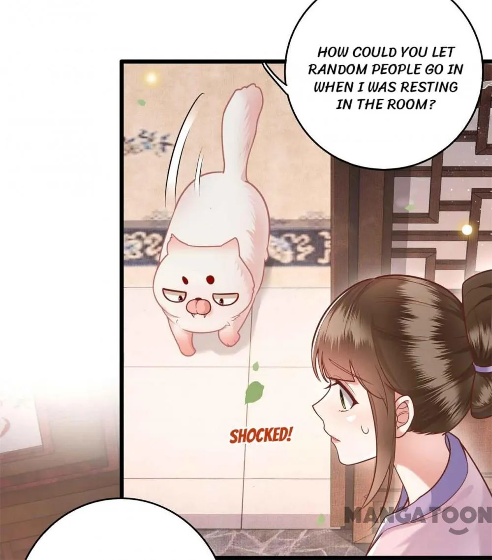 Page 3 of Chapter 13