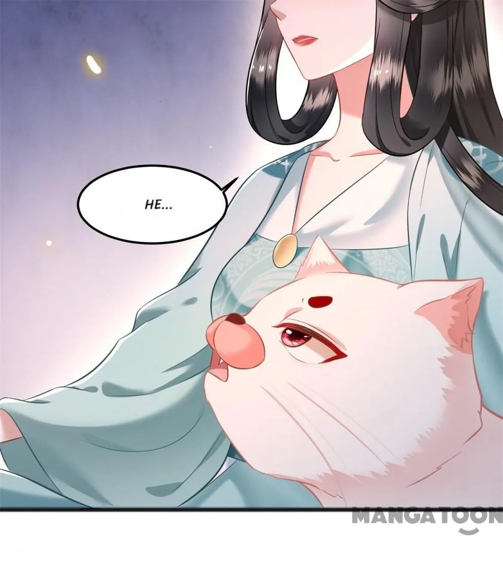 Page 12 of Chapter 8