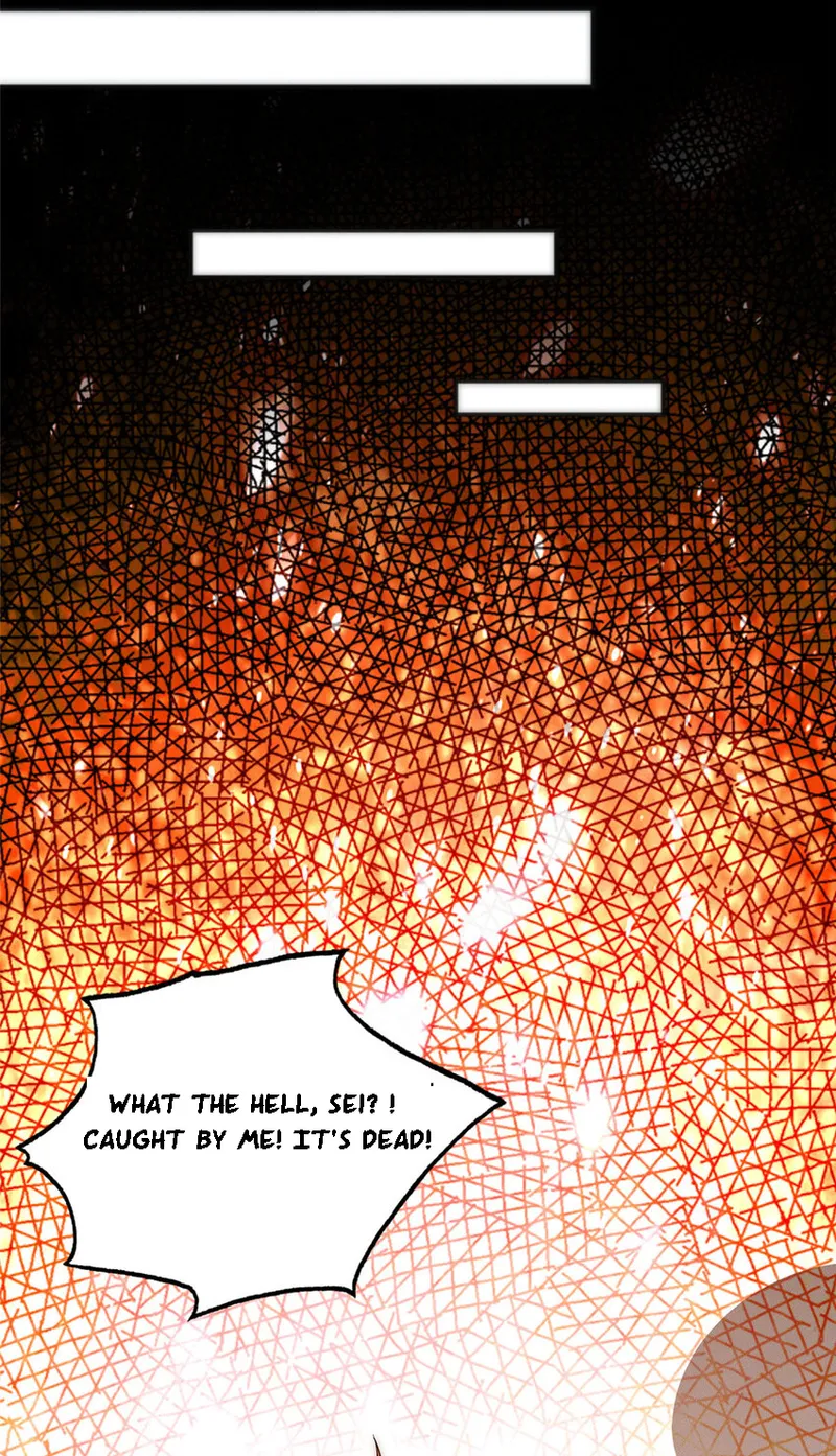 Page 17 of Chapter 11