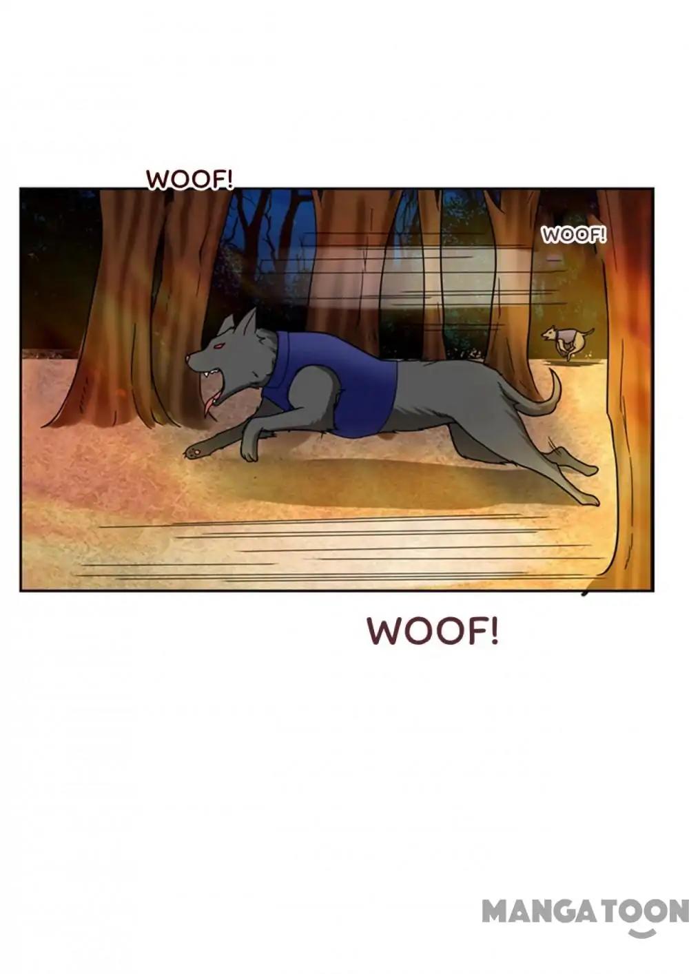 Page 13 of Chapter 19