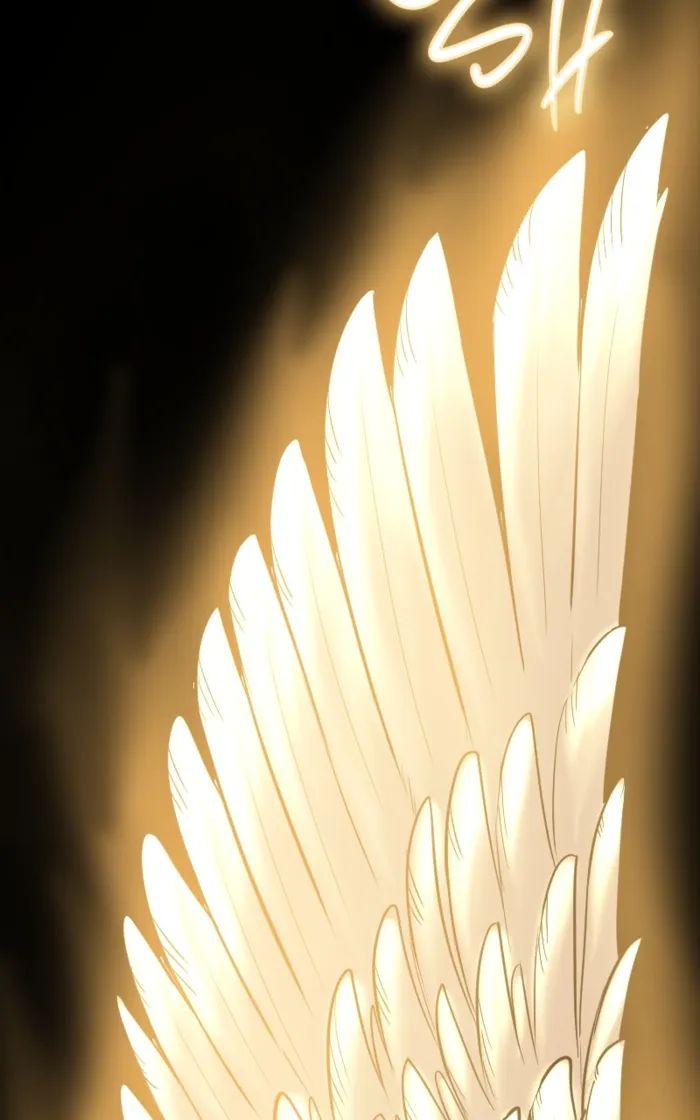 Page 52 of Chapter 49