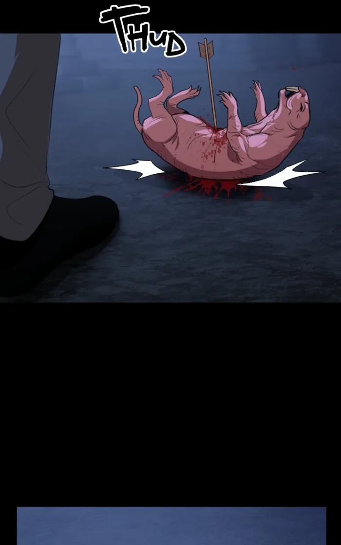 Page 13 of Chapter 54