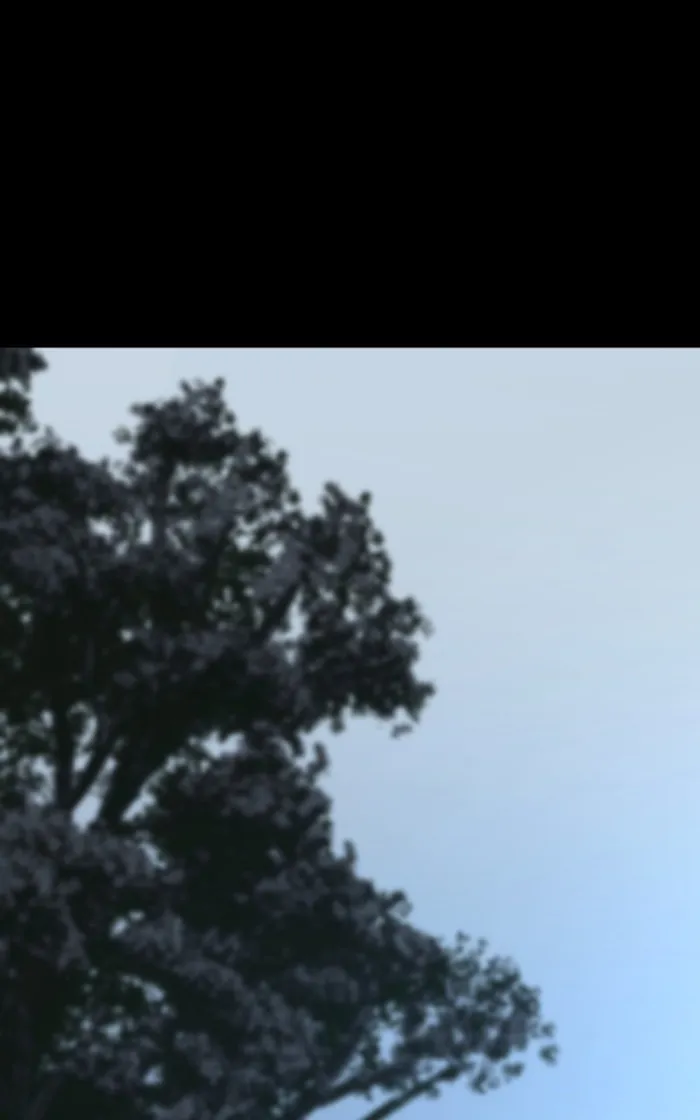 Page 107 of Chapter 70
