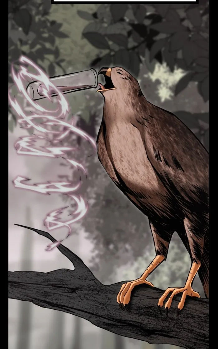 Page 11 of Chapter 79