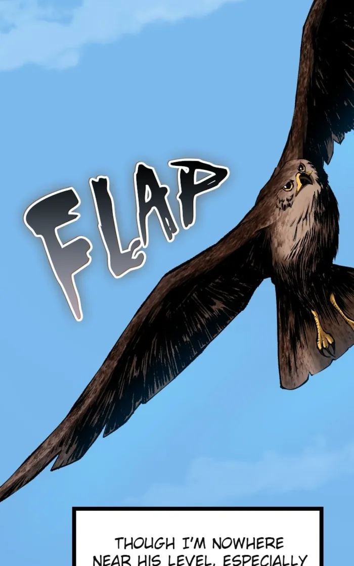 Page 13 of Chapter 79