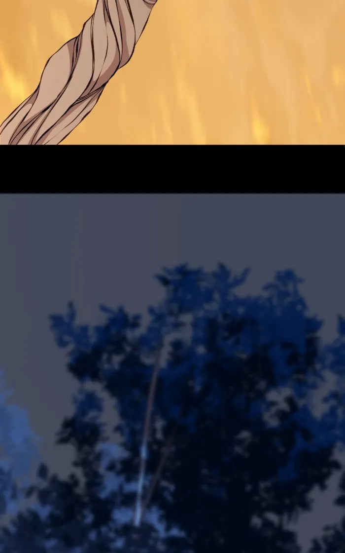 Page 113 of Chapter 80