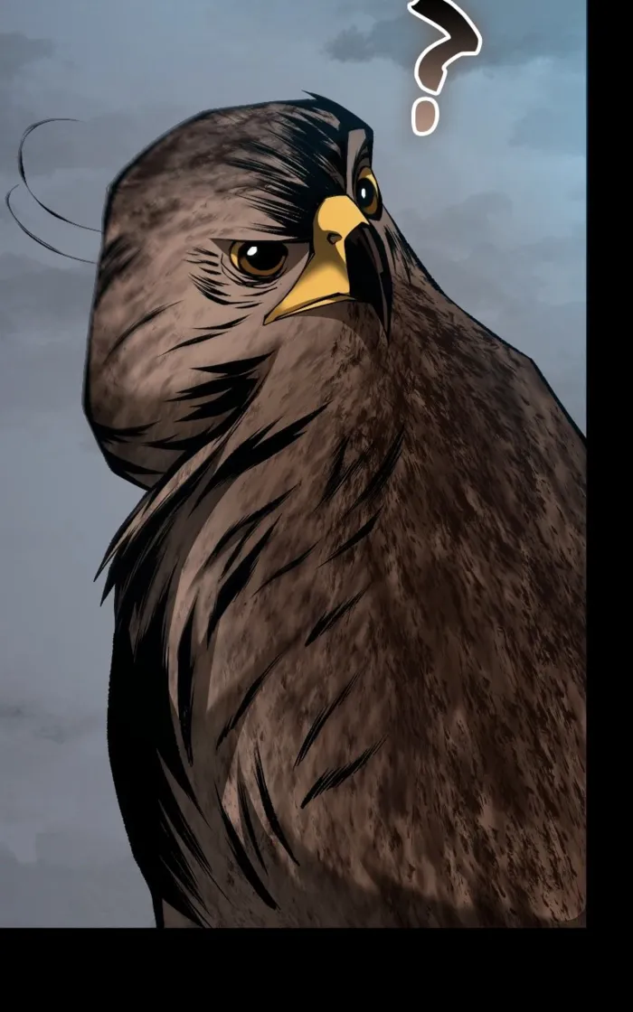 Page 164 of Chapter 81