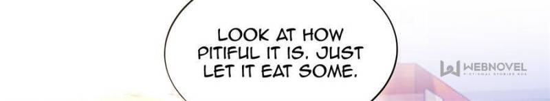 Page 33 of Chapter 11
