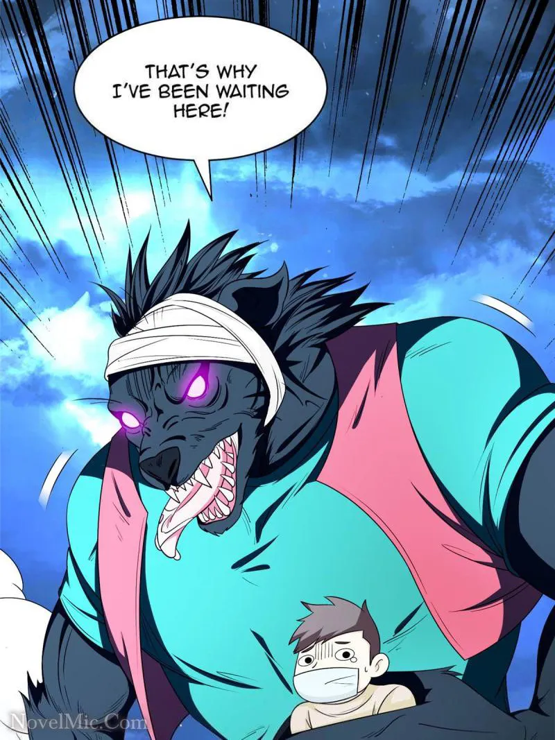 Page 41 of Chapter 146