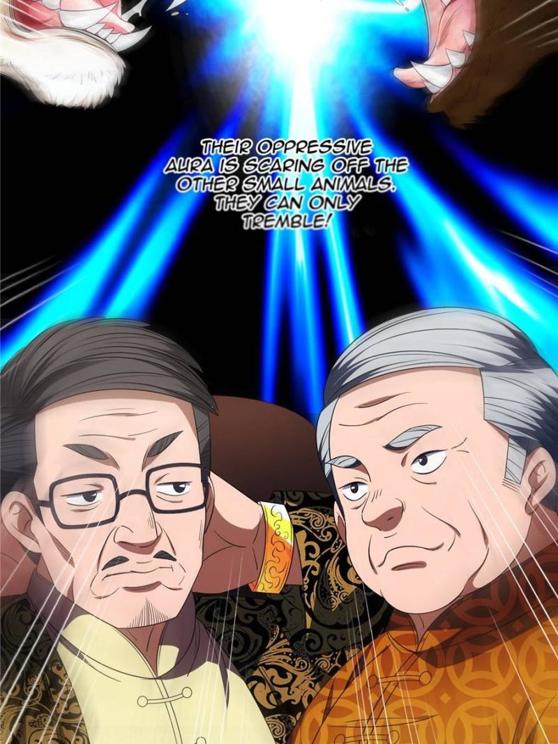 Page 14 of Chapter 33