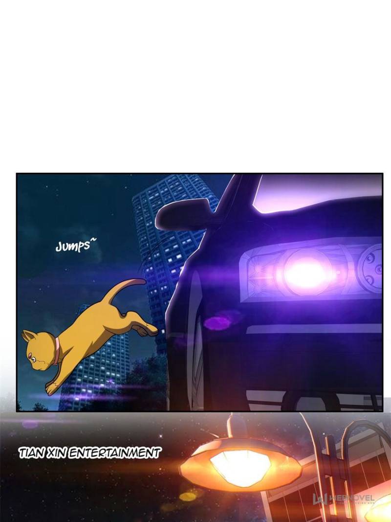 Page 24 of Chapter 8