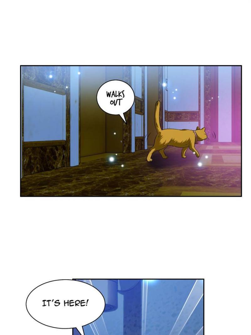 Page 42 of Chapter 8