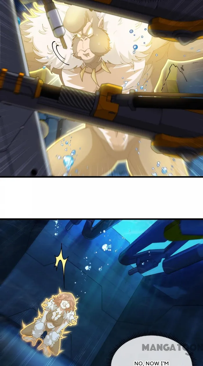 Page 43 of Chapter 110
