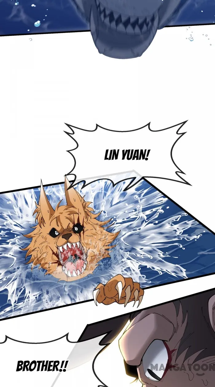 Page 46 of Chapter 114