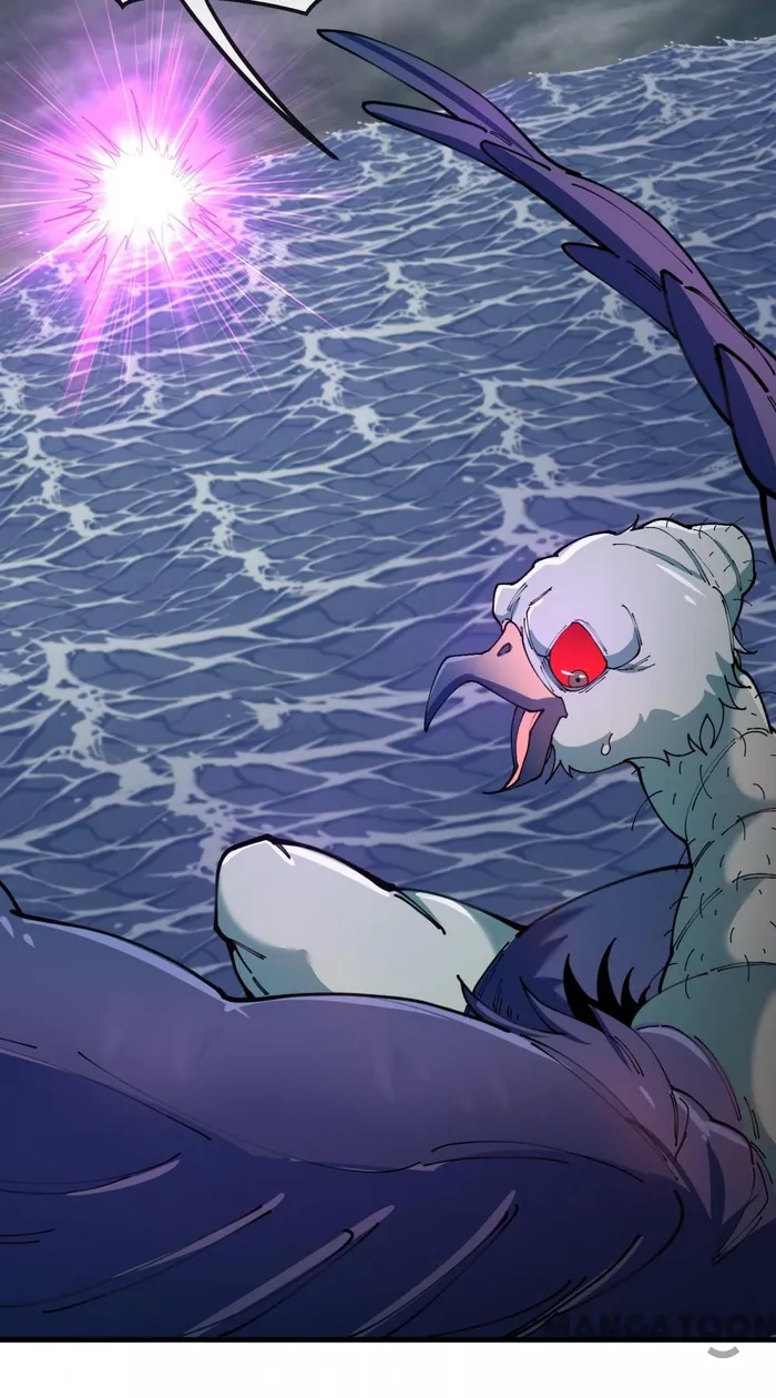 Page 11 of Chapter 117