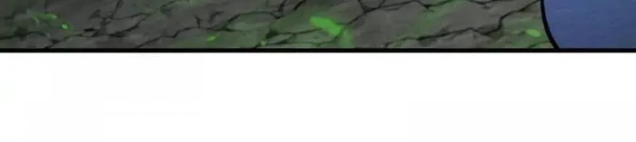 Page 13 of Chapter 161