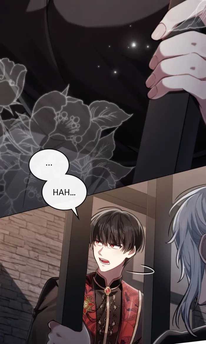Page 13 of Chapter 71