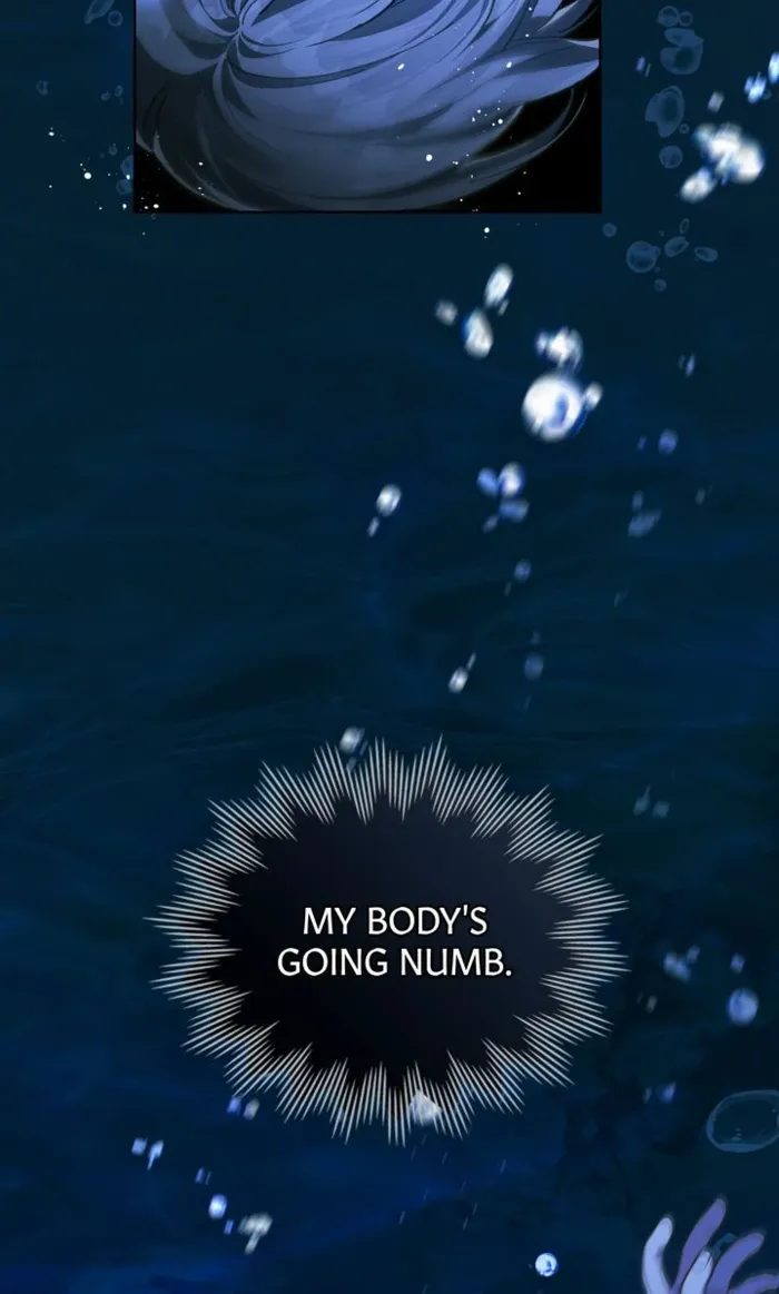 Page 13 of Chapter 81