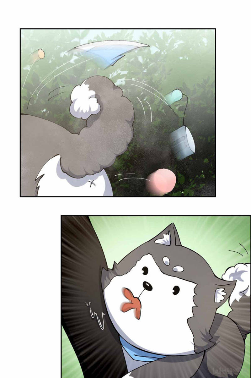 Page 17 of Chapter 15