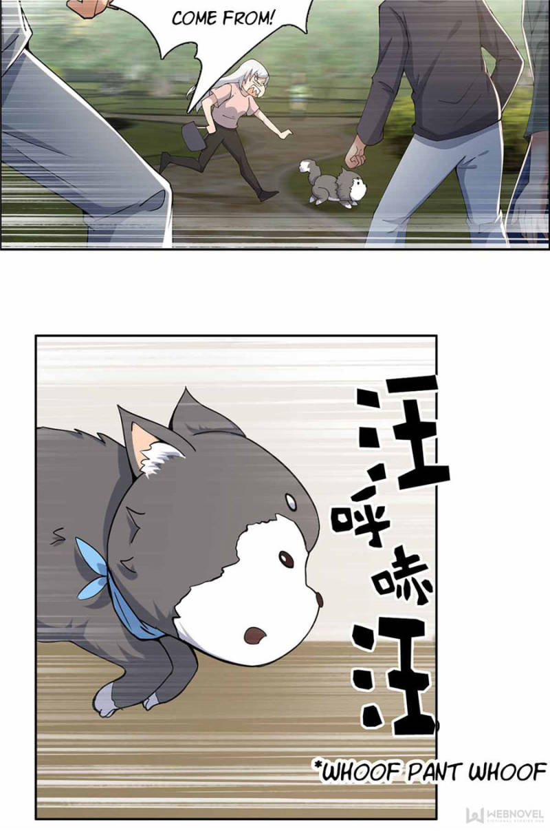 Page 19 of Chapter 15