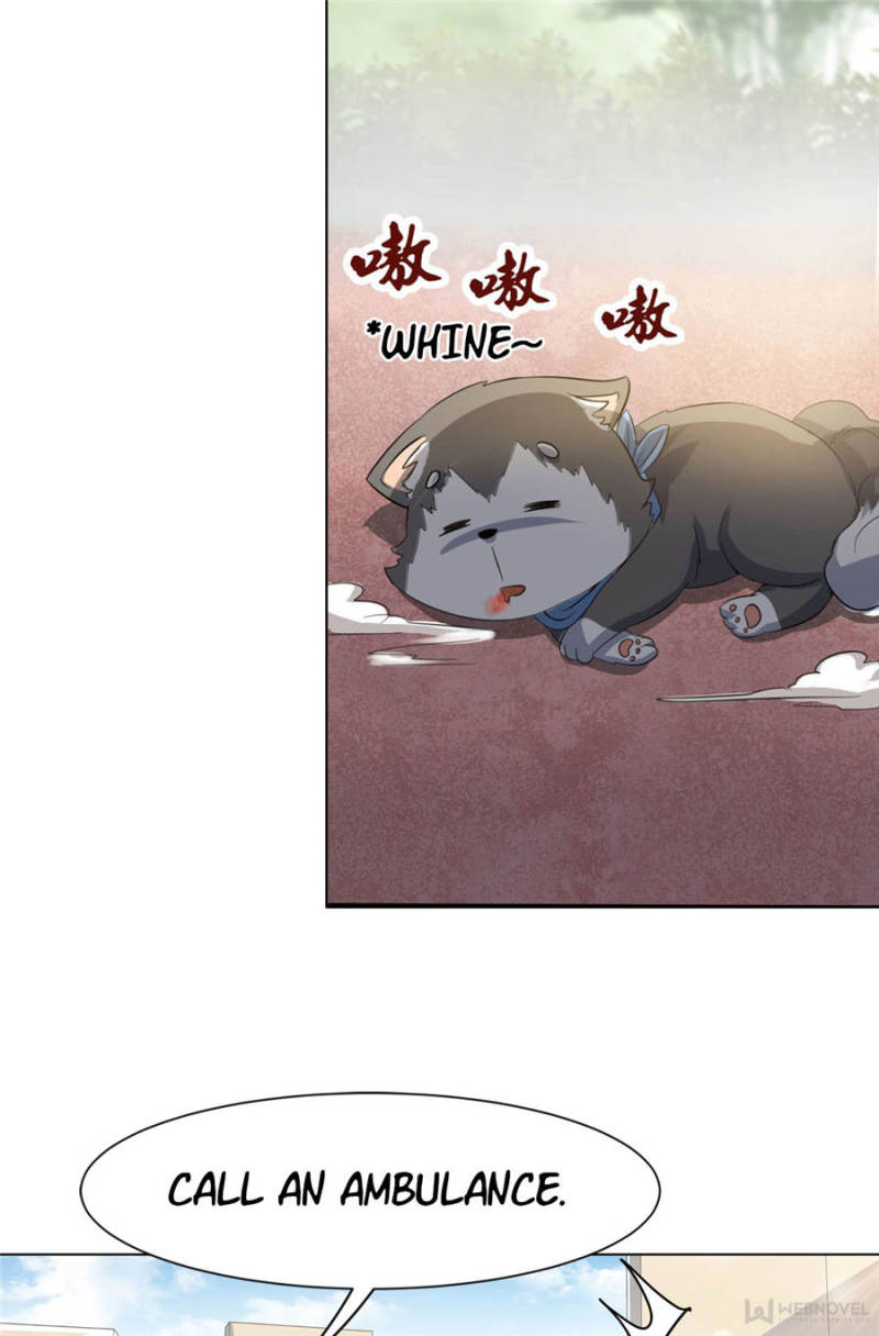 Page 4 of Chapter 20