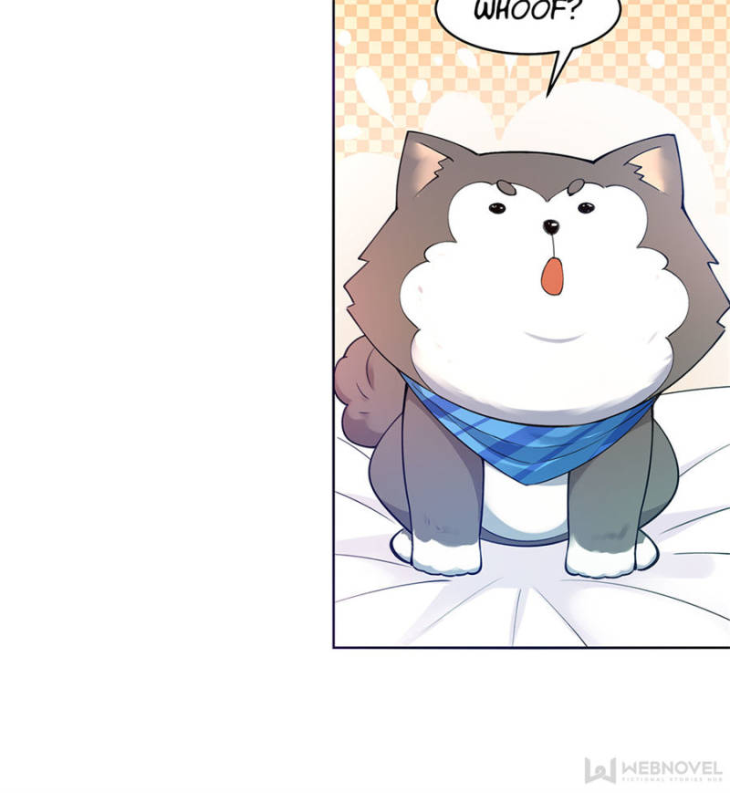 Page 11 of Chapter 81