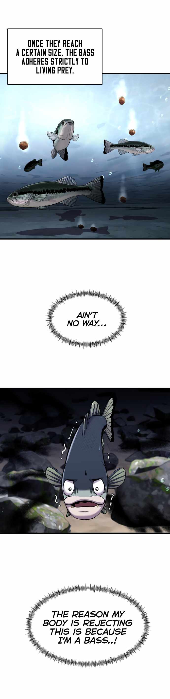 Page 3 of Chapter 11