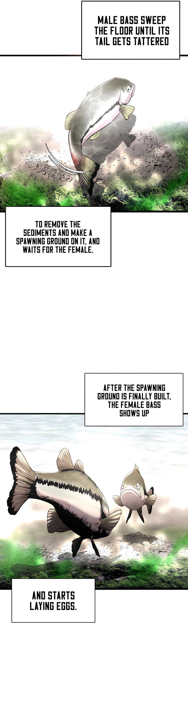 Page 12 of Chapter 3