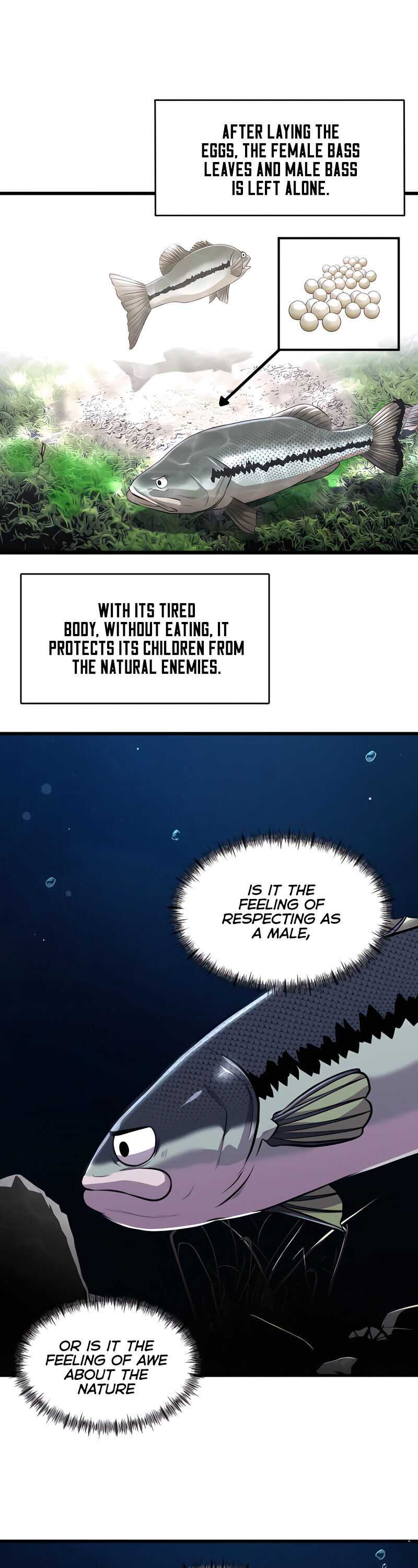 Page 13 of Chapter 3