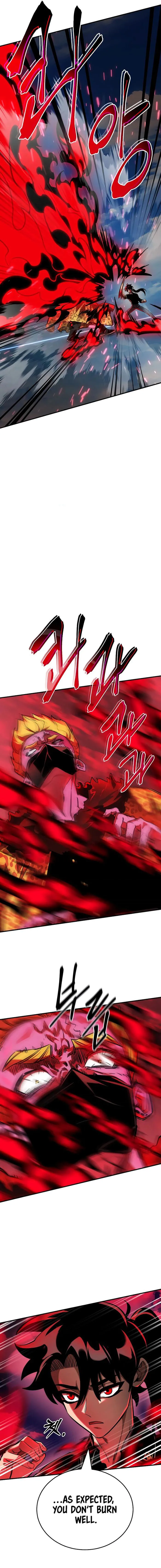 Page 13 of Chapter 17